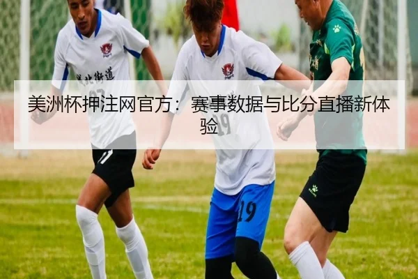 美洲杯押注网官方:赛事数据与比分直播新体验