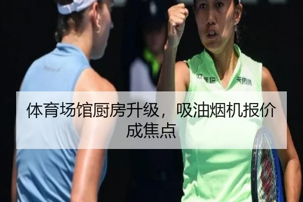 体育场馆厨房升级，吸油烟机报价成焦点