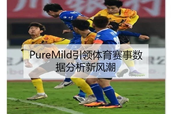 PureMild引领体育赛事数据分析新风潮